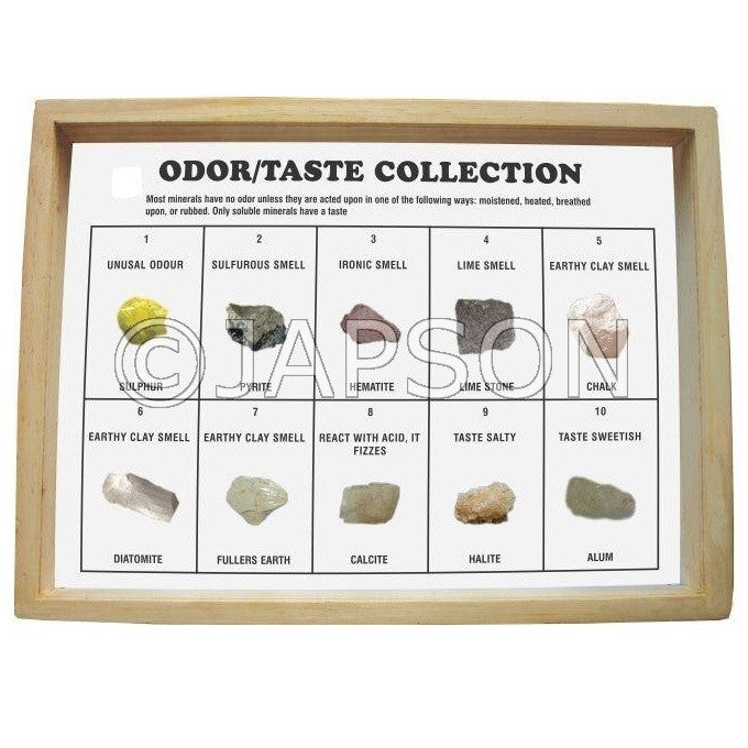 Odor/Taste Collection, Set of 10 Odor/Taste Collection, Set of 10